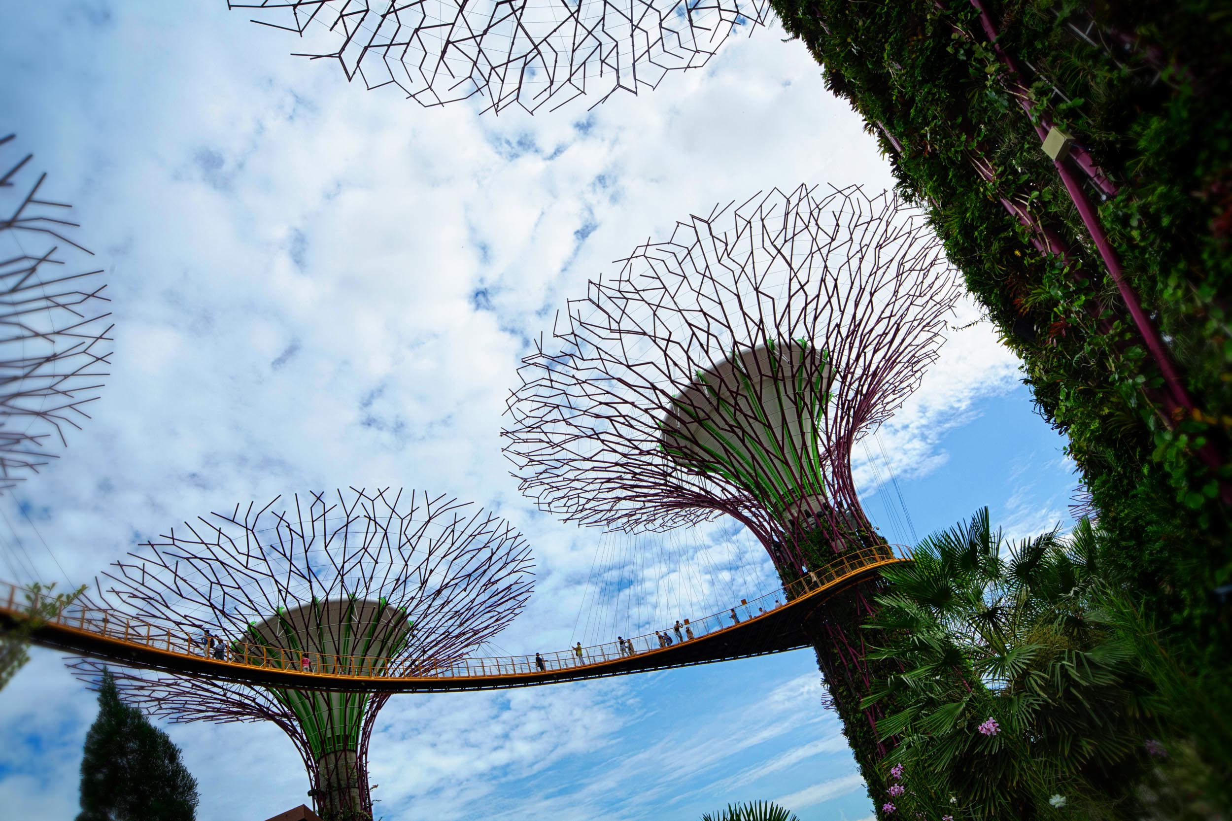 Singapore_0012